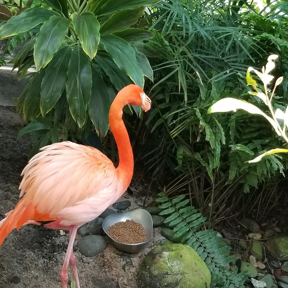 Meet your Posher, Annette